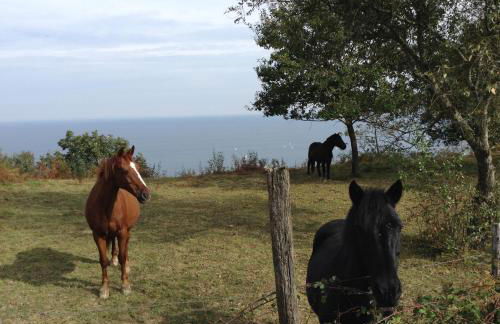 Epotx Etxea - Foto 53