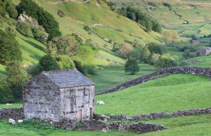 Stunning Lodge at Runswick Bay - Dog Friendly - Foto 31