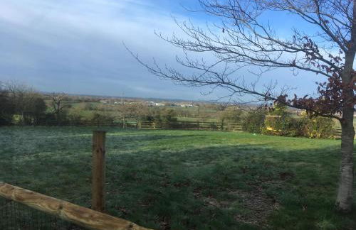 Tanglewood - Photo 37