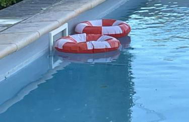 Studio Azul - Foto 15