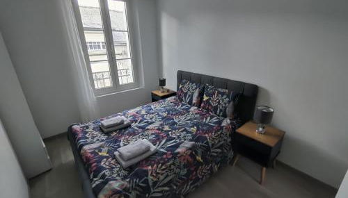 Appartement T3 PLUME Hyper centre d'ERNÉE - Foto 3