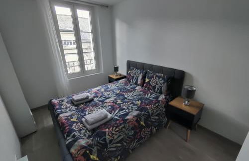 Appartement T3 PLUME Hyper centre d'ERNÉE - Foto 3