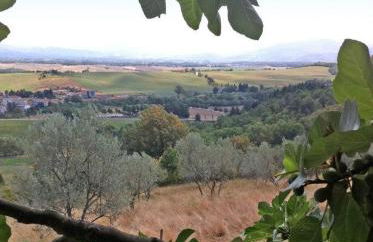 Agriturismo Il Palazzaccio - Foto 44