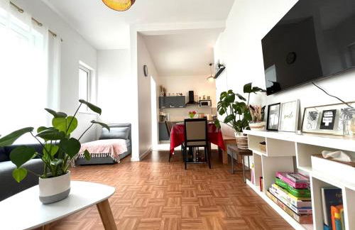 100m Train RER A, 10' Disneyland, 34' Paris centre, Car x2 - Foto 7