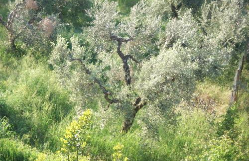 Sweet Home - Foto 23