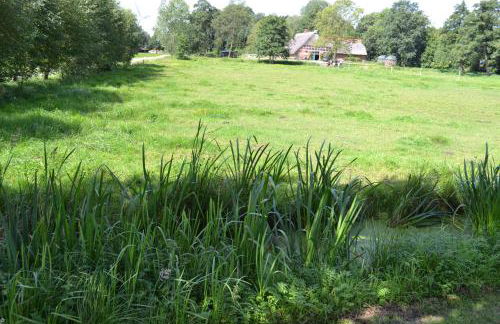 Ferienwohnung Süderfeld - Foto 70