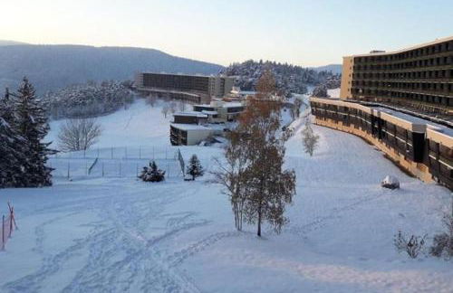 Studio cosy au pied des pistes Villard-de-Lans 4 pers - Foto 21