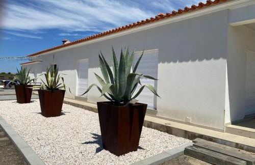 Adega Monte Maneta - Foto 29