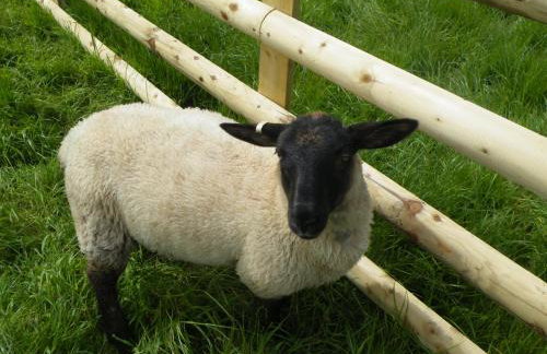 Sharlands Farm Holiday Cottages - Foto 16