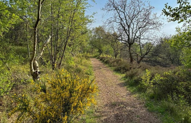 Holiday Home in De Koog Near Texel Beaches - Foto 36