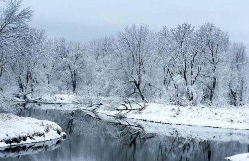 Cozy Wintertime Nantucket Cottage Getaway - Foto 20
