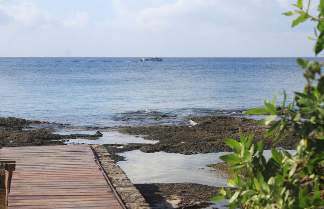 Great Condo in Cozumel OCEAN FRONT D10 - Foto 13