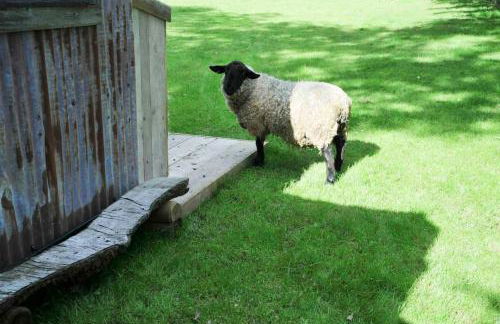 The Boatshed at Camp Plas - Photo 64