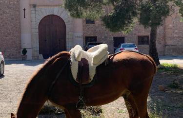 Castillo con piscina en plena Sierra Calderona - Photo 19