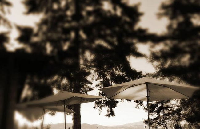 Agriturismo Sant'Illuminato - Foto 46