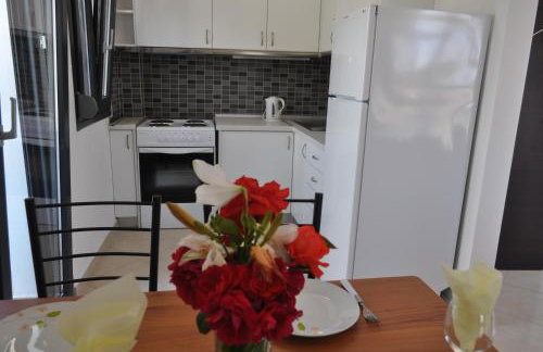 Scandia Villas - Photo 36