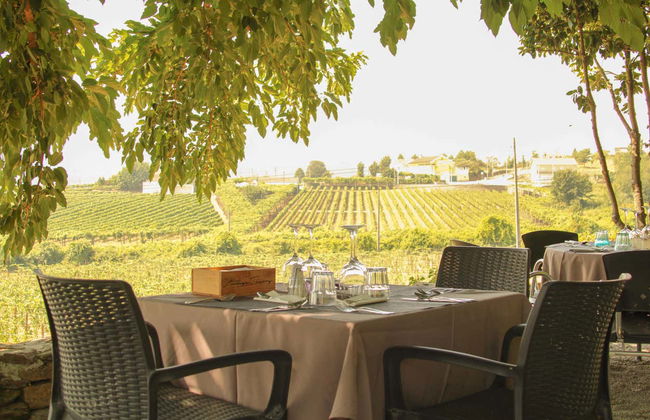 Tour de viñedos y bodegas por el Valle del Duero - Foto 10