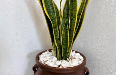 PETRA HOME heritage and hospitality - Foto 40