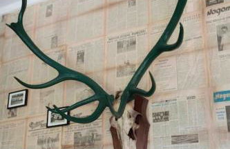 Magdala Lodge - wellness oasis - Foto 26