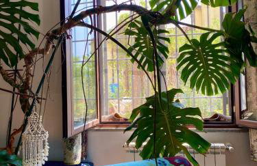 VillaMarzia - Foto 26