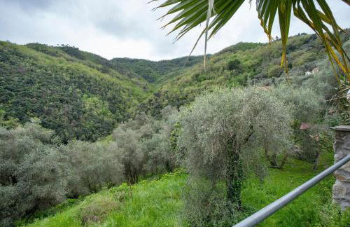 Loggia Oliveto - Foto 20