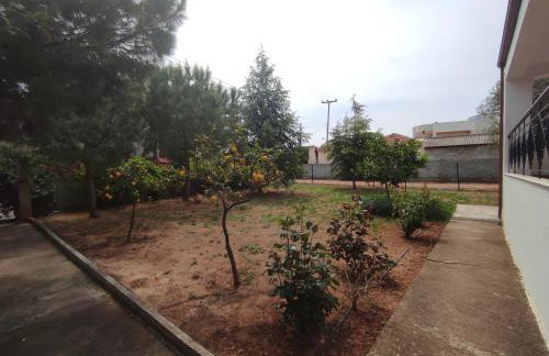 Rural Modern House - Foto 3