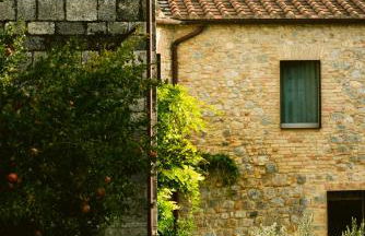 Fattoria San Donato - Foto 59