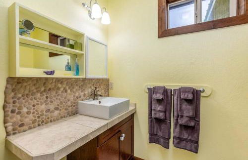 Walk to Everything Bikes AC Dog Friendly - Foto 8