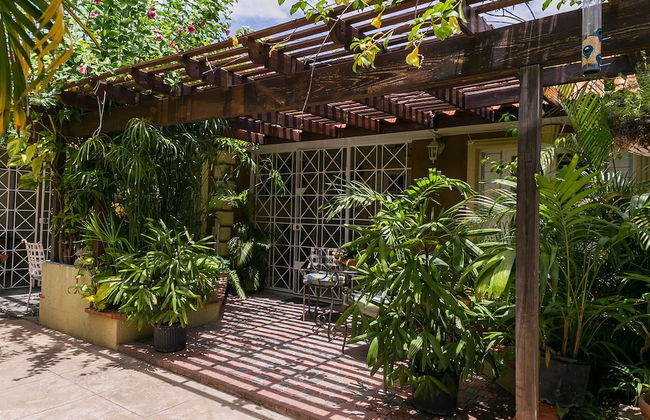 Botanic Bliss Living in Kingston - Photo 11