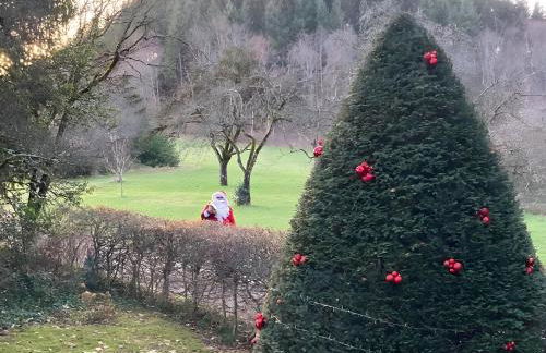 Alpenblick-Steineckhof - Foto 31