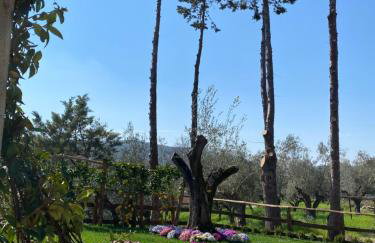 Casa Vacanza Capozzoli - Foto 3