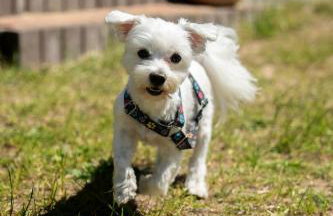 Stara Rzeka 2 - Photo 10