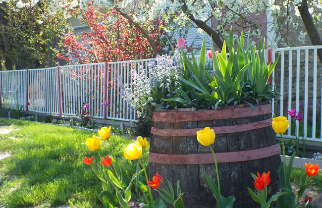 Ferienhaus Waldhof - Foto 18