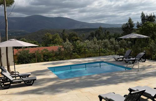 Quinta-lina de serpins - Foto 1