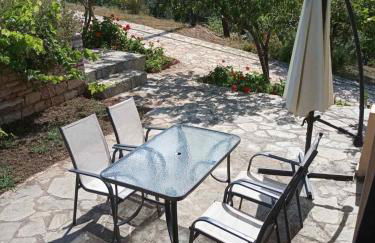 Oliveto e mare - Foto 22