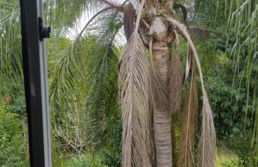 Casa Tércio - Photo 13