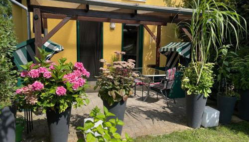 Ferienhaus am Saaler Bodden - Photo 4