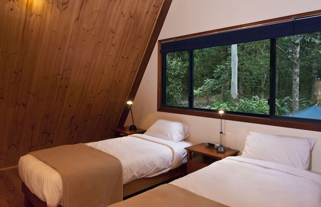 Rose Gums Wilderness Retreat - Foto 3