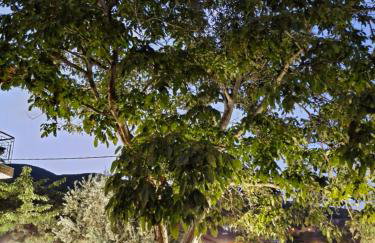 Asprovalta Beach Apartment - Foto 21