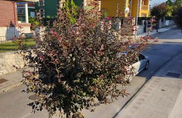 El Chalet Azul - Foto 5