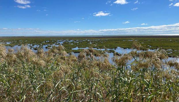 Harbor Lights Cottages #3 by Miss Kitty’s - Foto 5, Ausstattung der Unterkunft