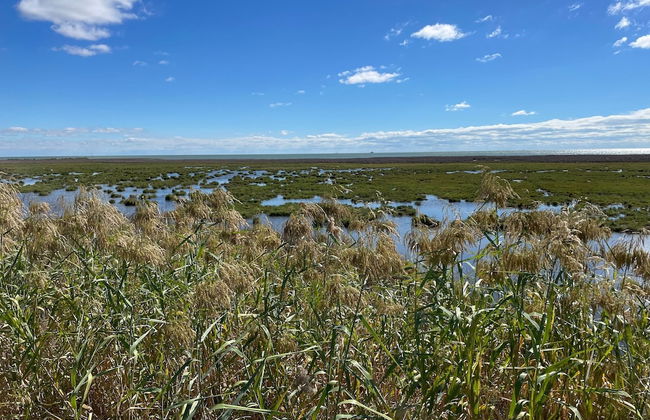 Harbor Lights Cottages #3 - Foto 9