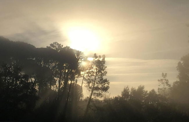 Pausastay - QdM Artist Suites - Villa - Foto 30