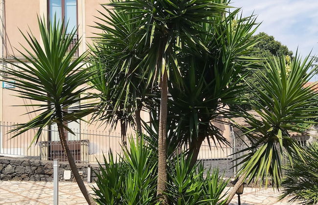 Furaha Villa Etna Trecastagni - Foto 13