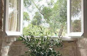 Loukas house Paxos - Foto 13