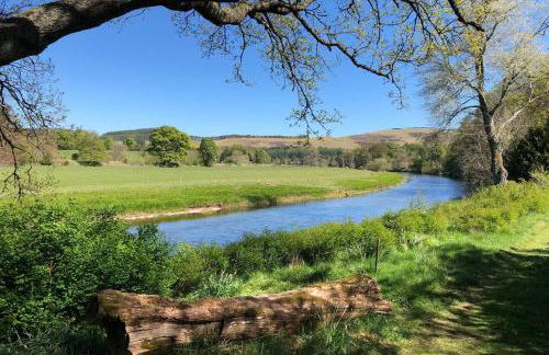 Barns Library - Foto 19