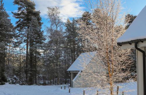 Osprey Apartment - Foto 26