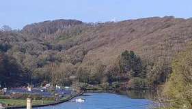 Driftwood in Looe River view and parking - Foto 2