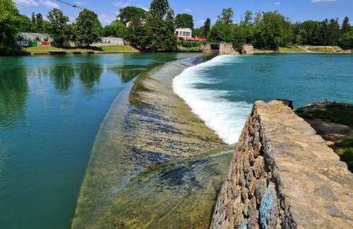 Happy Sparrow - Foto 63