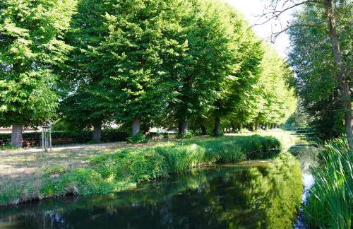 FeWo Elbdeichliebe - Photo 37